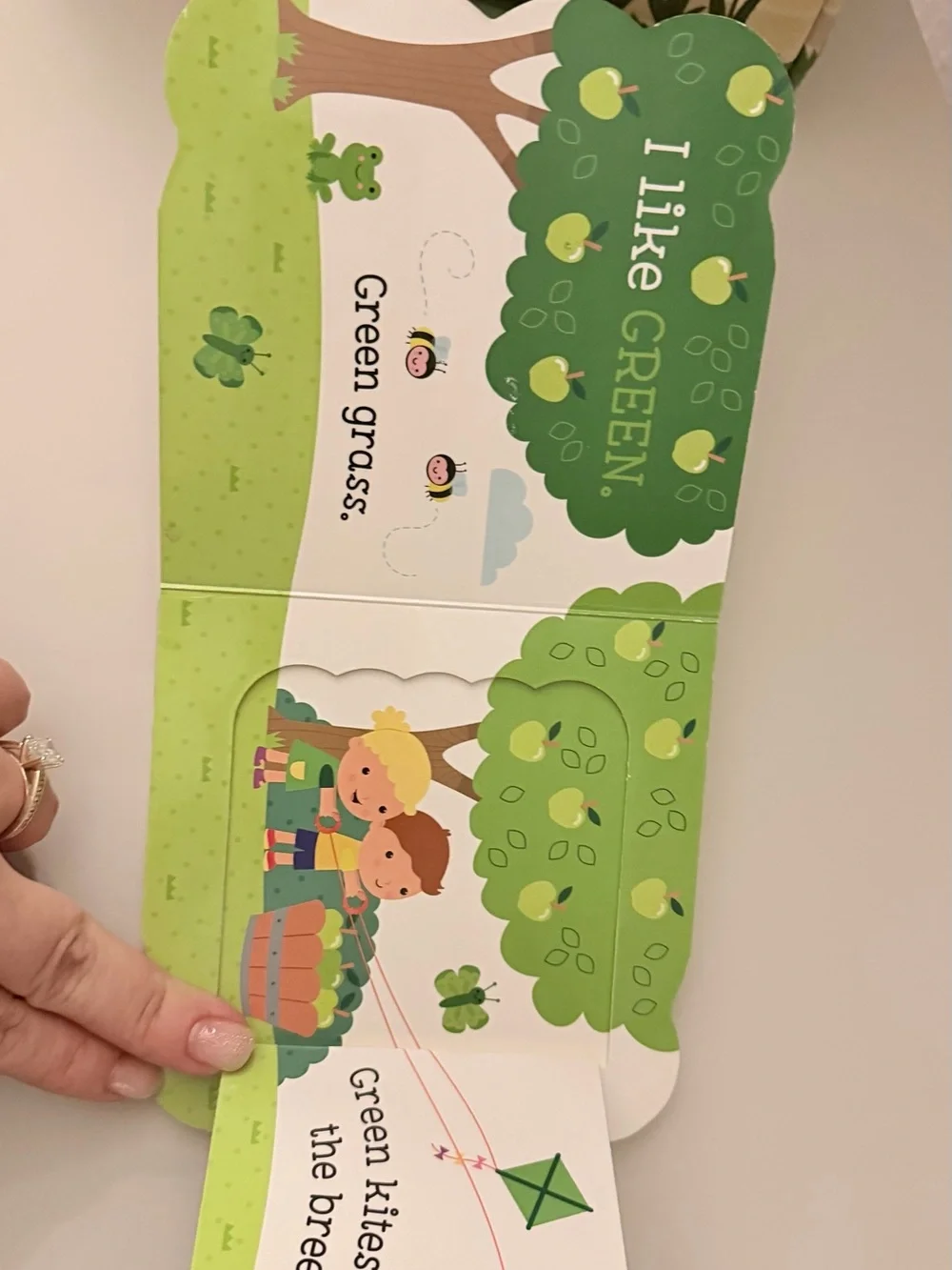 COLORS Lift-a-Flap Book - White